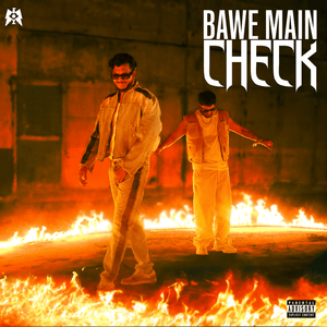 BAWE MAIN CHECK - King & Raga