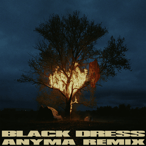 Black Dress (Anyma Remix) - 070 Shake & Anyma