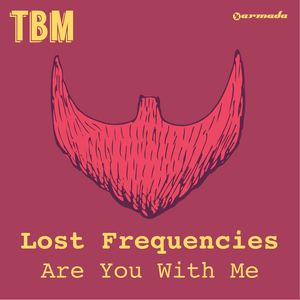 Are You With Me - Lost Frequencies