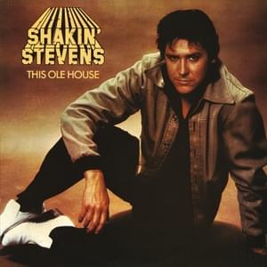 Revenue Man - Shakin' Stevens