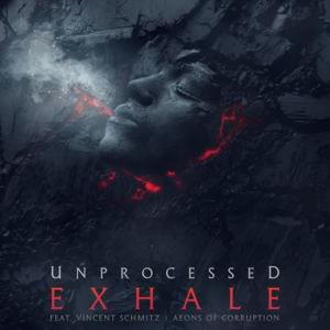 Exhale - Unprocessed (Ft. Vincent Schmitz)