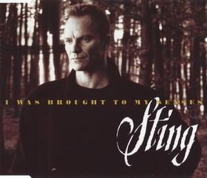 I Was Brought to My Senses - Sting