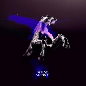 If You Only Knew - What So Not & San Holo (Ft. Daniel Johns)