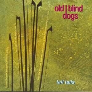 A Wife in Every Port - Old Blind Dogs