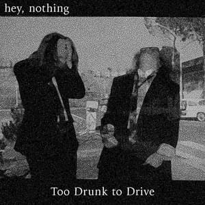 Too Drunk to Drive - ​​hey, nothing