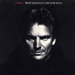 Why Should I Cry for You? - Sting