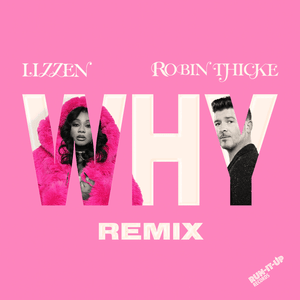 Why (Remix) - Lizzen & Robin Thicke