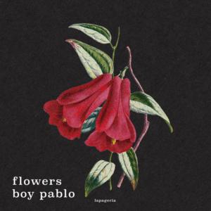 Flowers - ​boy pablo