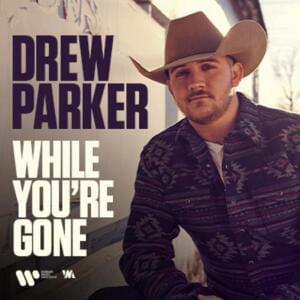 While You’re Gone - Drew Parker