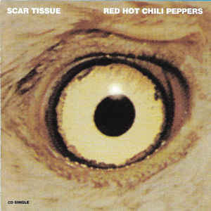 Red Hot Chili Peppers - Scar Tissue (Tradução em Português) - Lyrxo Brasil Traduções