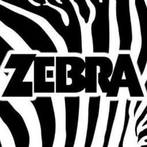 Light Of My Love - Zebra