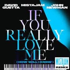 If You Really Love Me (How Will I Know) [MistaJam Remix] - David Guetta, MistaJam & John Newman