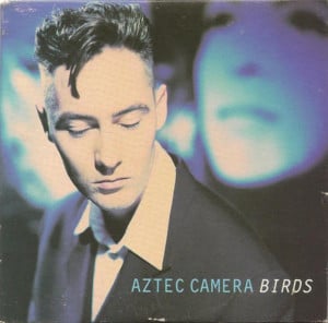 Birds - Aztec Camera