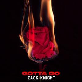 Gotta Go - Zack Knight