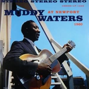 I Got My Brand On You - Muddy Waters