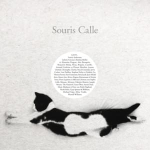 Le violon blanc de Monsieur Souris - Sophie Calle (Ft. The National)