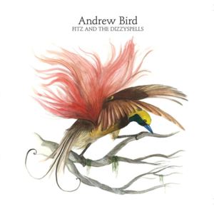 Ten-you-us - Andrew Bird