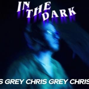 In The Dark - Chris Grey