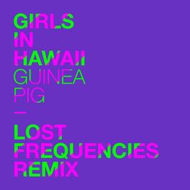 Guinea Pig (Lost Frequencies Remix) - Girls In Hawaii