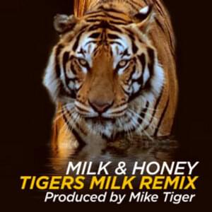 Milk & Honey (Tigers Milk Remix) - Goapele