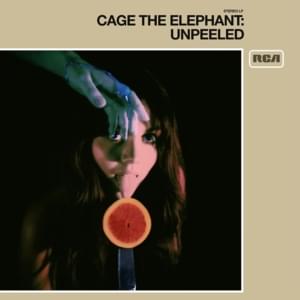 Cage The Elephant - Cold Cold Cold (Türkçe Çeviri) - Lyrxo Türkçe Çeviri