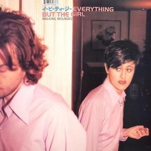 Walking Wounded (Spring Heel Jack Hard vocal mix) - Everything But The Girl