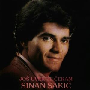 Neverna si bila - Sinan Sakić