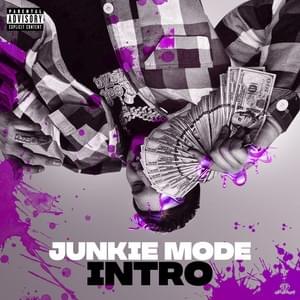 Junkie Mode (Intro) - DeeBaby