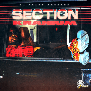 Section - Kranium