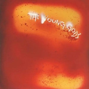 Longue route - The Young Gods