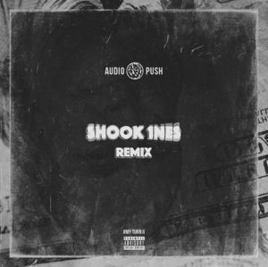 Shook1nes (Remix) - Audio Push