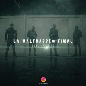 Dans ma folie - La Malfrappe (Ft. Timal)