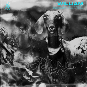 ​voitan - ​william (FIN)