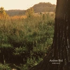 Section 8 City - Andrew Bird