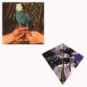 Chemical Switches - Andrew Bird