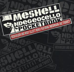 Pocketbook (Rockwilder and Missy Elliott Remix) - Meshell Ndegéocello (Ft. Redman & Tweet)