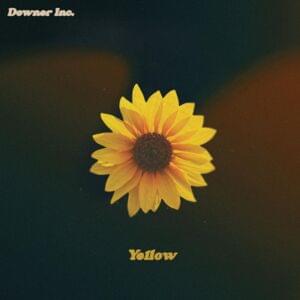 Yellow - Downer Inc.