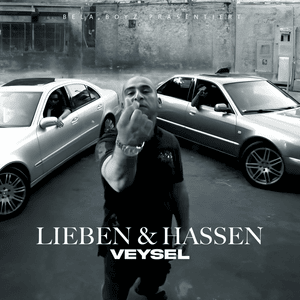 Lieben & Hassen - Veysel