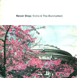 Never Stop - Echo & the Bunnymen