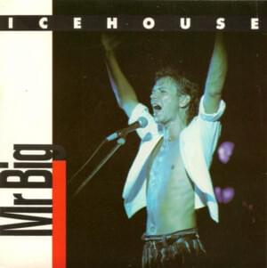 Mr. Big - Icehouse