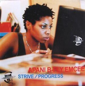 Progress (Radio Version) - Apani B Fly