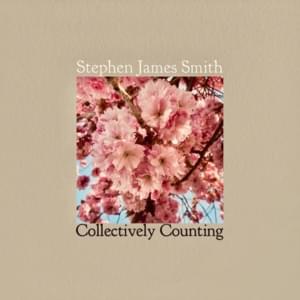 Collectively Counting - Stephen James Smith (Ft. Gareth Quinn Redmond & Villagers)