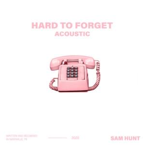 Hard to Forget (Acoustic) - Sam Hunt