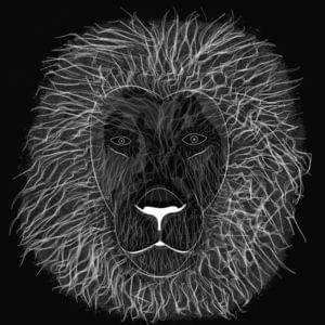 Lion - ​iamjakehill