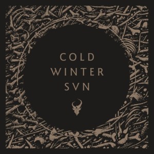 Cold Winter Sun - Demon Hunter