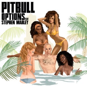 Options - Pitbull (Ft. Stephen Marley)