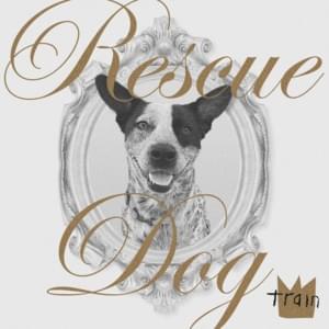 Rescue Dog - Train