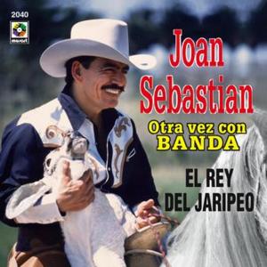 Como Perro Con Rabia - Joan Sebastian