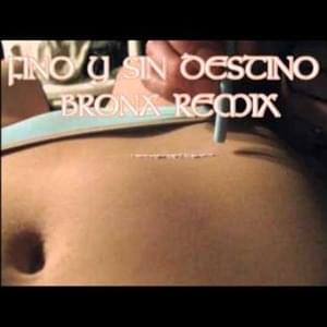 FINO Y SIN DESTINO (Bronx Remix) - Bardero$