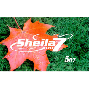 Radio - Sheila On 7